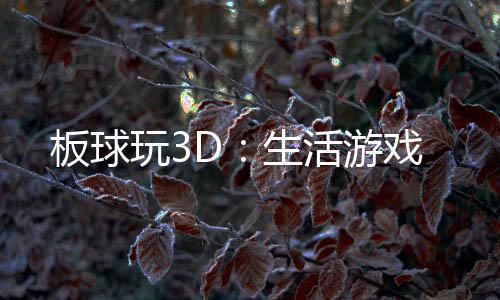 板球玩3D:生活游戏