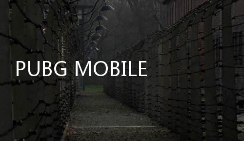 PUBG MOBILE LITE轻量版2024